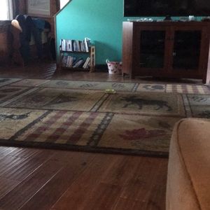 Meet your Posher, Ethan